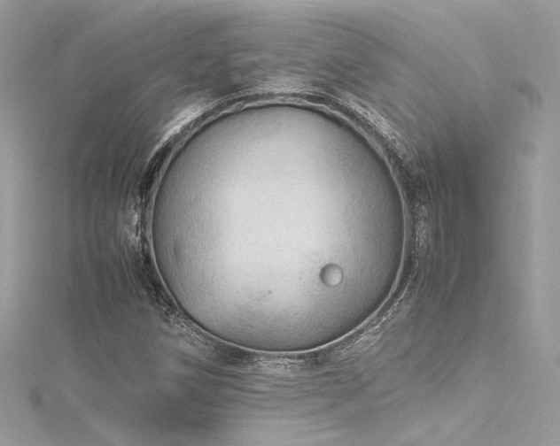 X0000116311258200911301455