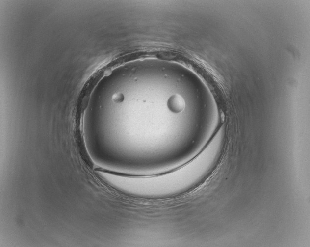 X0000116311261200911301455