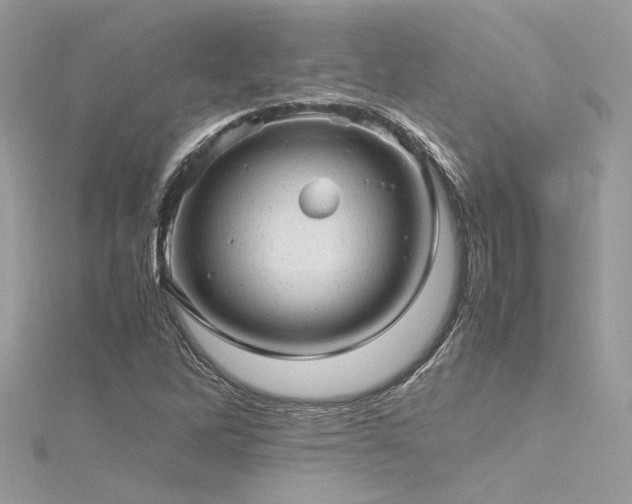 X0000116311262200911301455