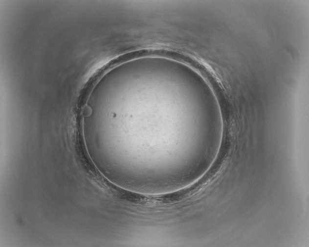 X0000116311263200911301455