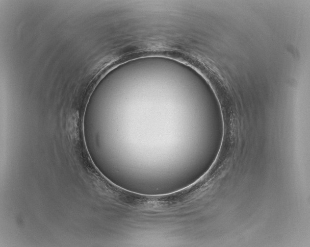 X0000116311265200911301455