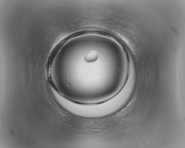 X0000116311267200911301455