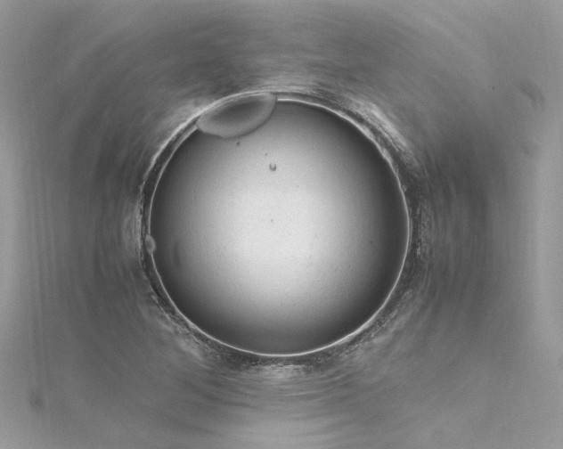 X0000116311268200911301455