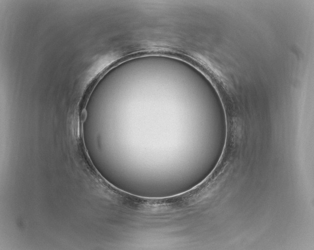 X0000116311269200911301455