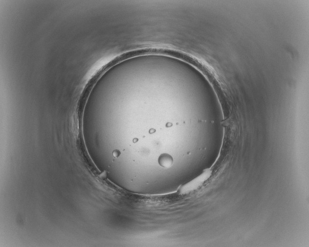 X0000116311271200911301455