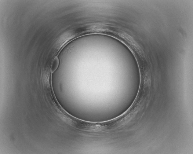 X0000116311273200911301455