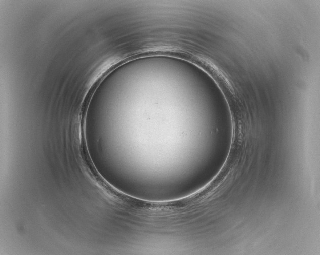 X0000116311274200911301455