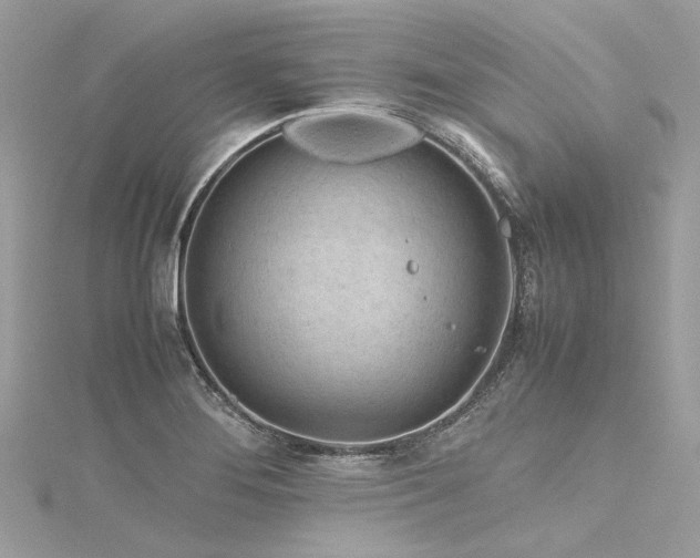 X0000116311276200911301455