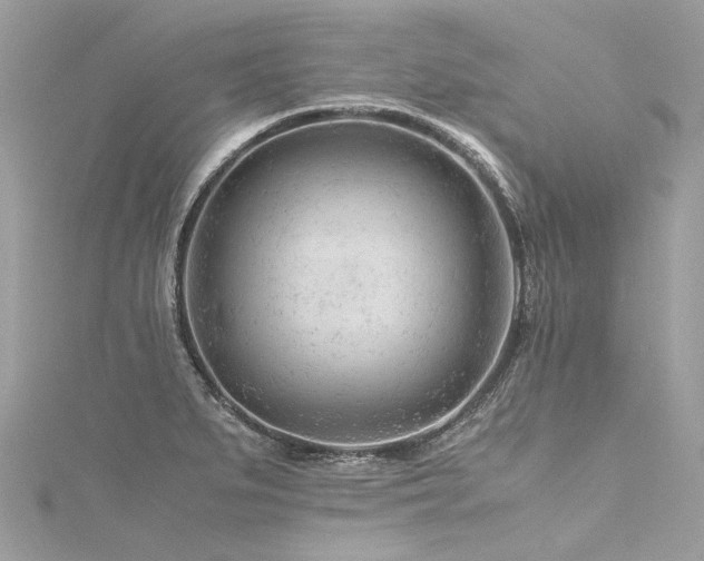 X0000116311279200911301455