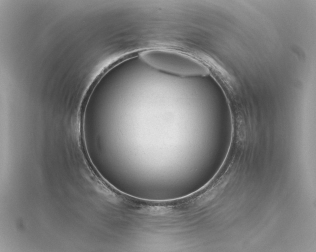 X0000116311280200911301455