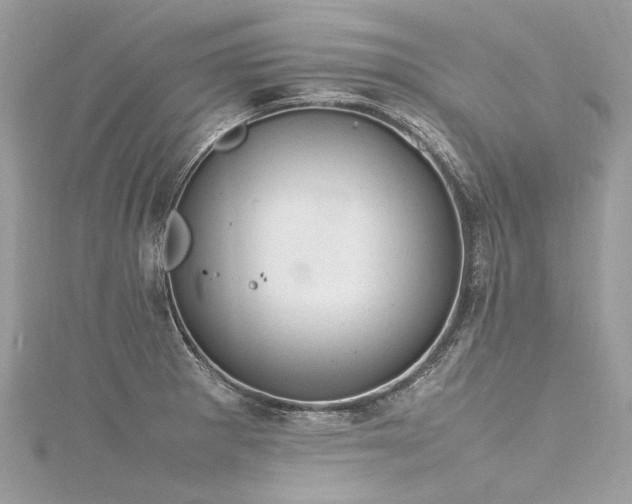 X0000116311281200911301455