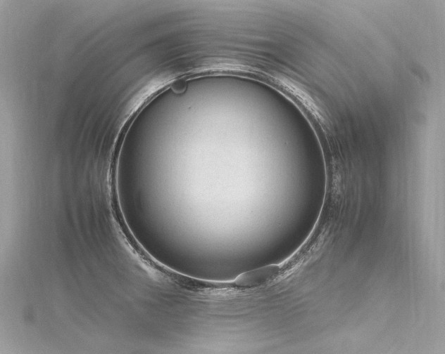 X0000116311282200911301455