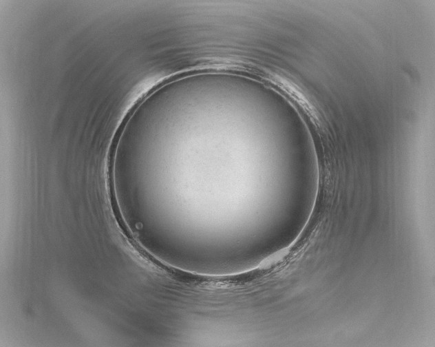 X0000116311283200911301455