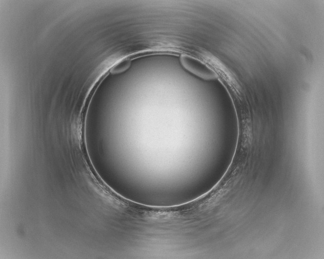 X0000116311284200911301455