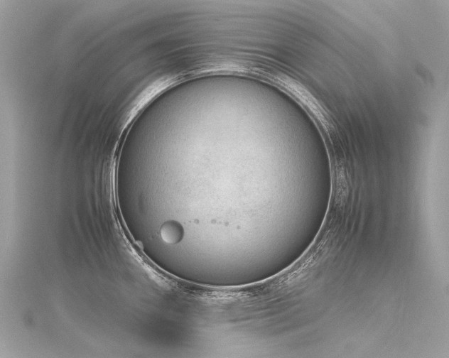 X0000116311290200911301455