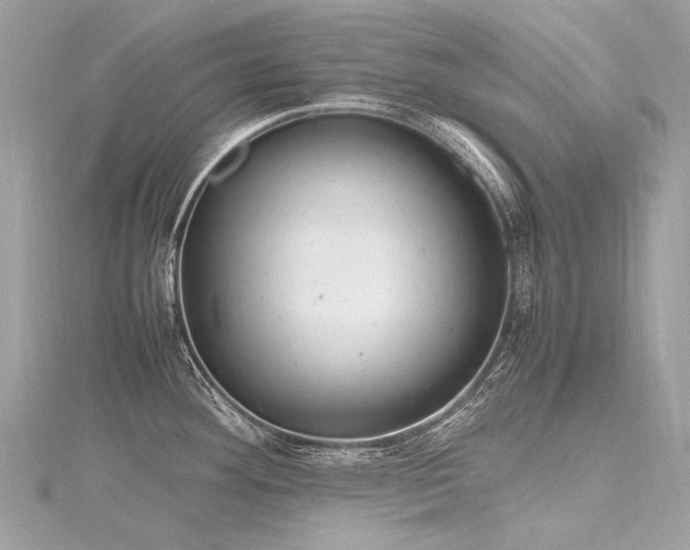 X0000116311292200911301455