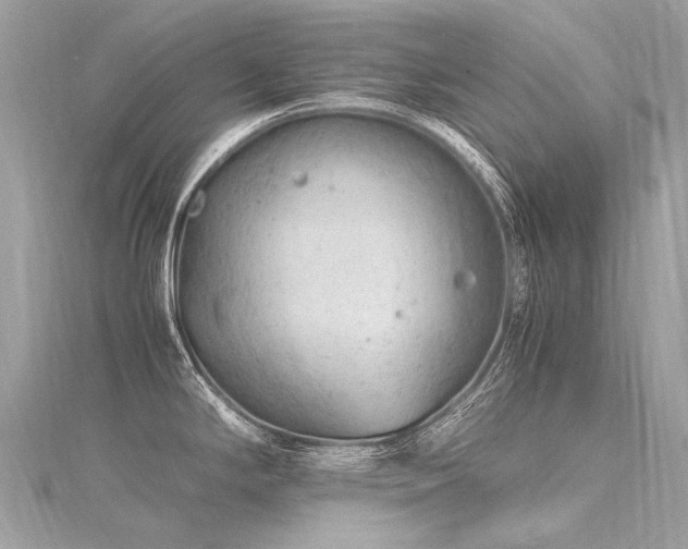 X0000116311294200911301455