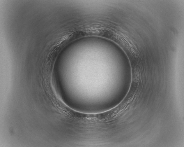 X0000116311297200911301454