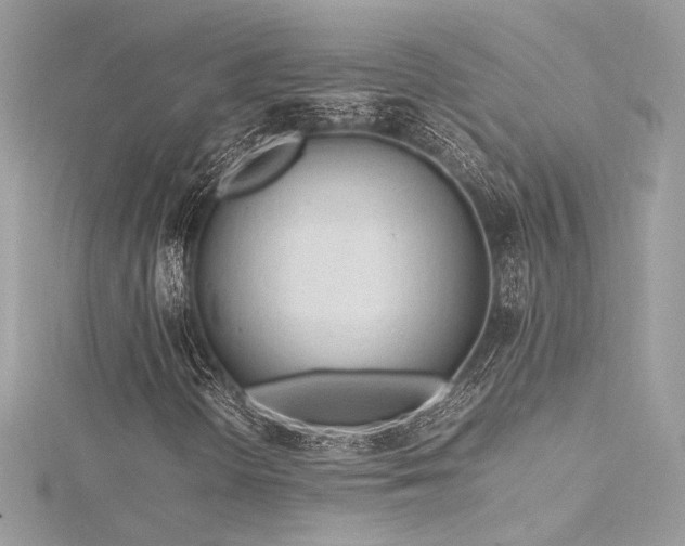 X0000116311298200911301454