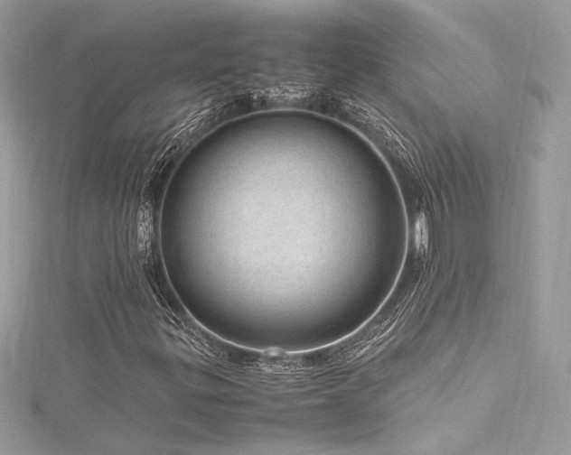 X0000116311299200911301454