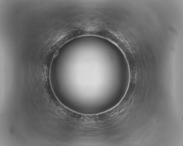 X0000116311301200911301454