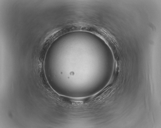 X0000116311302200911301454