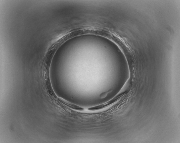 X0000116311303200911301454