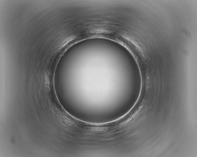 X0000116311305200911301454