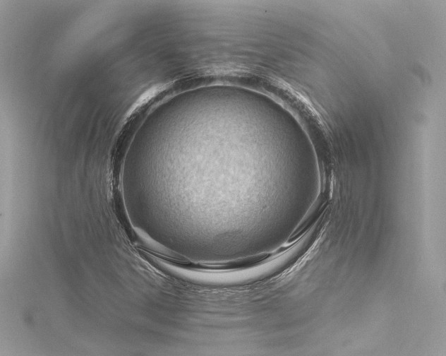 X0000116311306200911301454