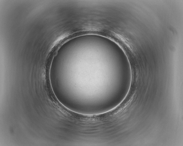 X0000116311307200911301454