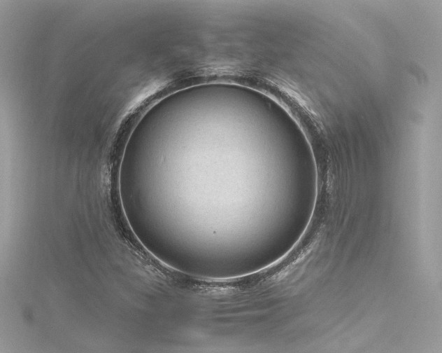 X0000116311309200911301454