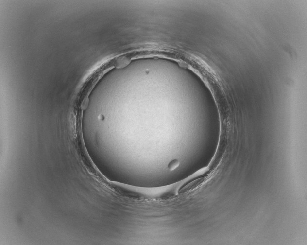 X0000116311310200911301454