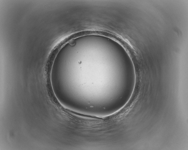 X0000116311311200911301454