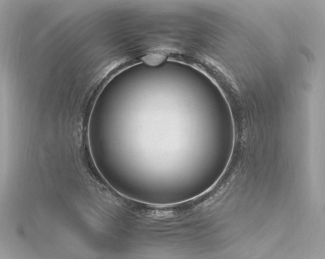 X0000116311313200911301454