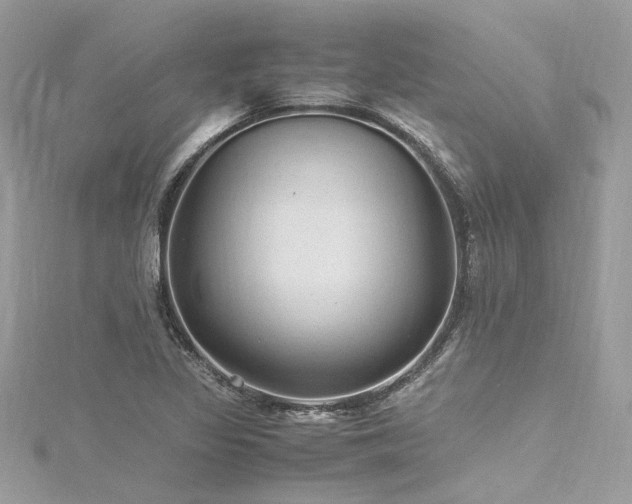 X0000116311317200911301454