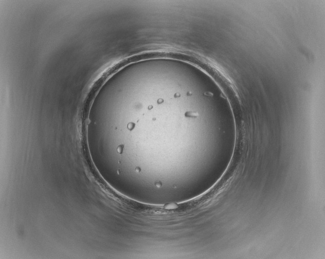 X0000116311318200911301454