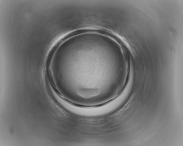 X0000116311319200911301454