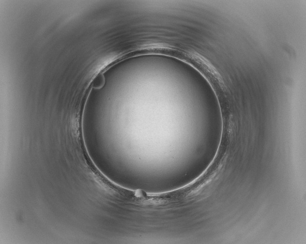 X0000116311321200911301454