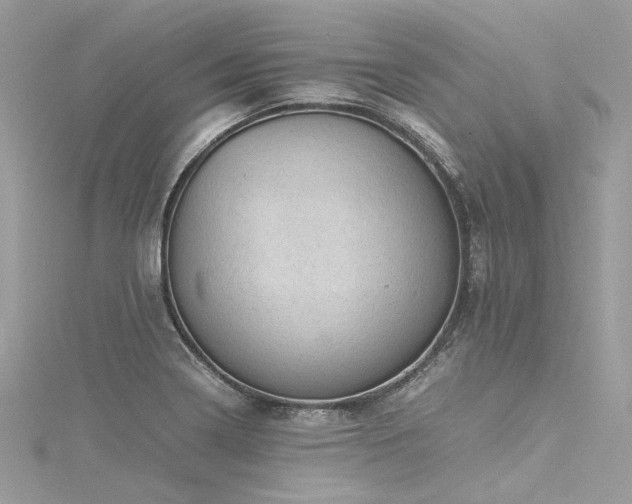 X0000116311322200911301454