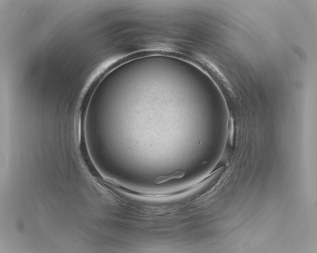 X0000116311323200911301454