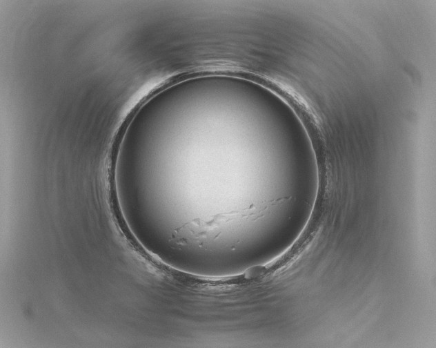 X0000116311325200911301454