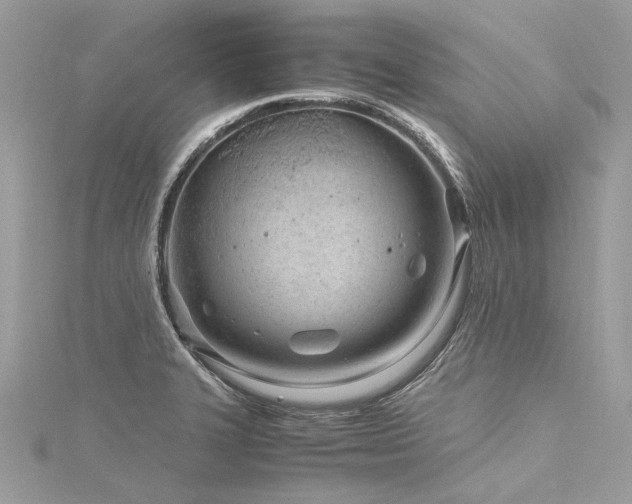 X0000116311327200911301455