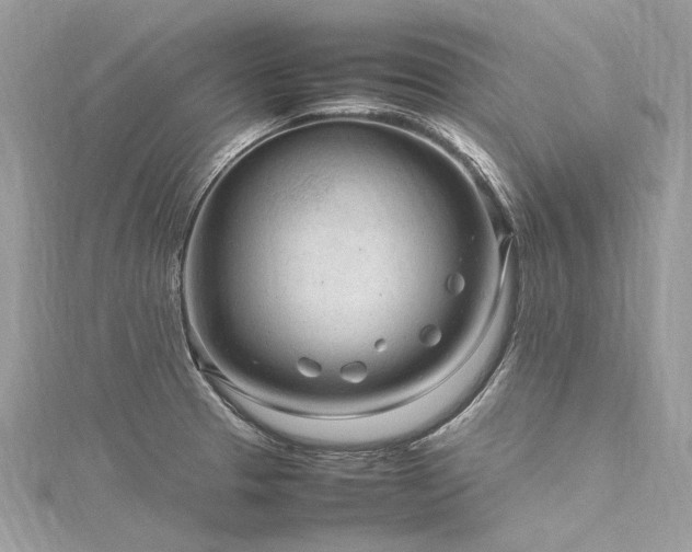 X0000116311329200911301455