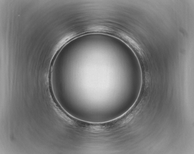 X0000116311330200911301455