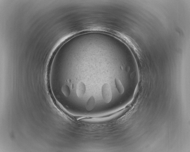 X0000116311331200911301455