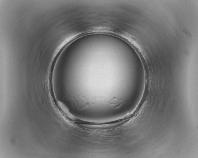 X0000116311333200911301455