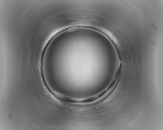 X0000116311334200911301455