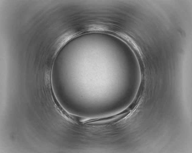 X0000116311337200911301455