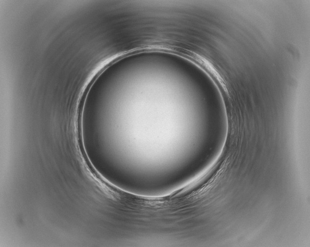 X0000116311339200911301455