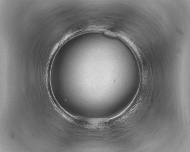 X0000116311341200911301455